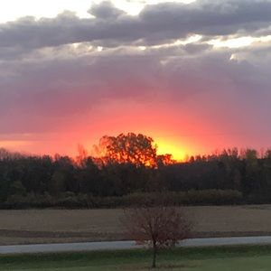 Meet your Posher, Miley